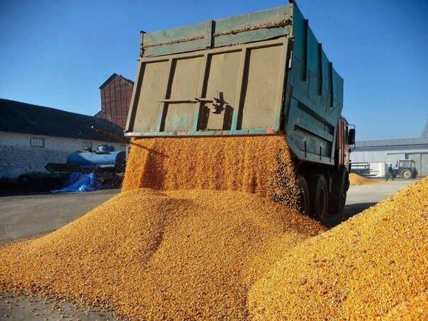 Rusija u 2025. godini izvezla više od dva miliona tona žitarica iz Ukrajine