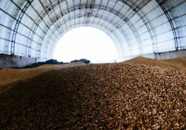 Ruski brod s opljačkanim ukrajinskim žitom pristao u Izrael