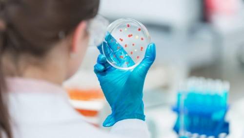 Ruski lijek protiv koronavirusa će biti registrovan ove godine