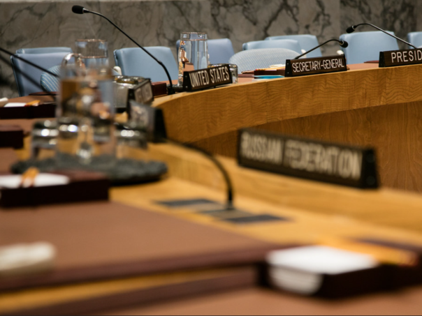 SAD stavile veto na primanje Palestine u UN