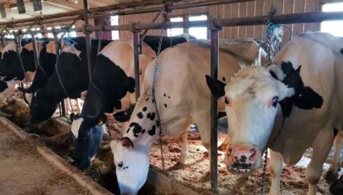 Saglasnost Vlade KS za realizaciju tri značajna projekta u 'Poljoprivrednom dobru Butmir'