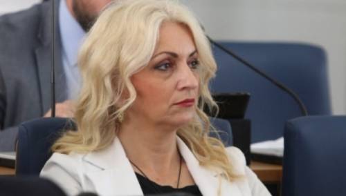 Šahman zatražila da se prvo raspravlja o nabavci maski