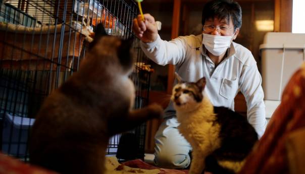Sakae Kato, čovjek koji je ostao da spašava mačke u ozračenoj Fukušimi