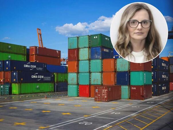 Salkičević-Dizdarević: Priče o tome kako se pokušava zaštititi izvoz BiH u kontekstu SAD padaju u vodu