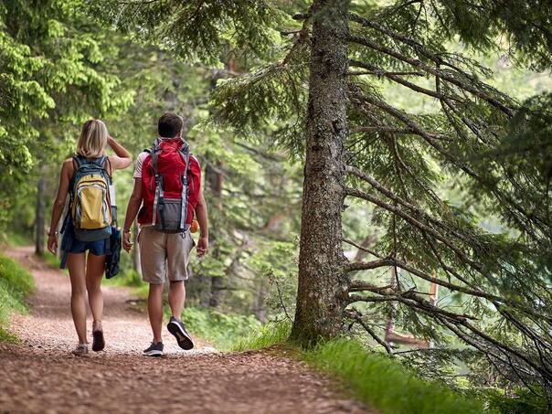Samo 20 minuta boravka u prirodi čini čuda