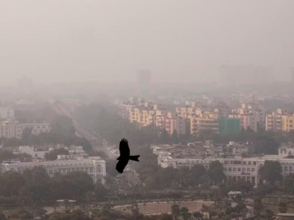 Samo sedam država imalo čist vazduh 2024.