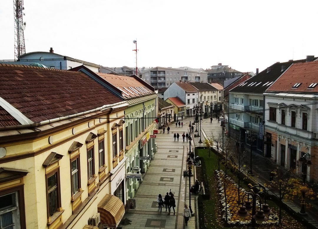 Sanitarna kontrola u Brčkom: Uništeno 130 tona krompira i hiljade litara pića