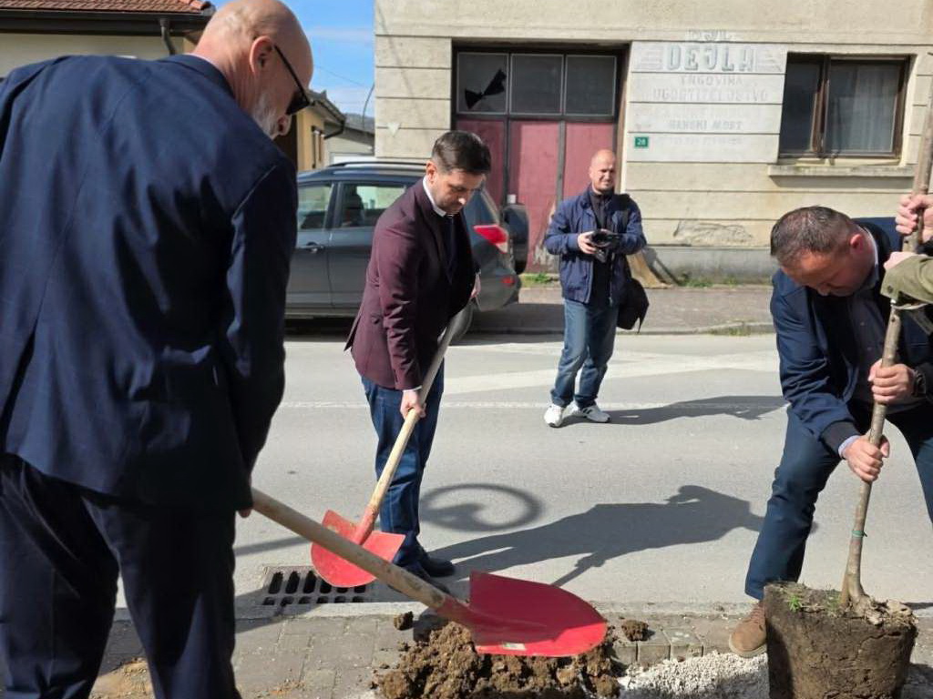 Sanski Most obnavlja zelene aleje, posađeno 45 stabala u ulici 1. mart