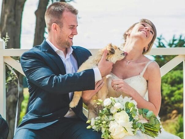 Šapa umjesto potpisa: Čak 23 države u SAD-u priznaju ljubimce za vjenčane svjedoke