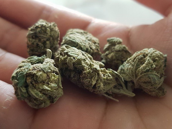 Sarajevo: 47-godišnjak uhapšen zbog posjedovanja droge