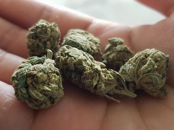 Sarajevo: 47-godišnjak uhapšen zbog posjedovanja droge