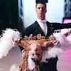 Sarajevo domaćin 13. Sarajevo Dance Festivala i dva svjetska prvenstva u sportskom plesu