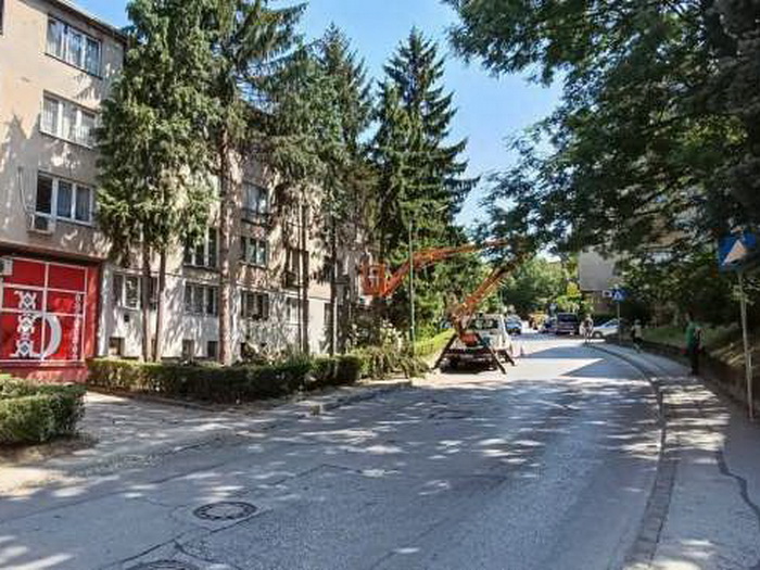 Sarajevo: Neopravdana sječa stabala, a grad zbog manjka drveća sve topliji