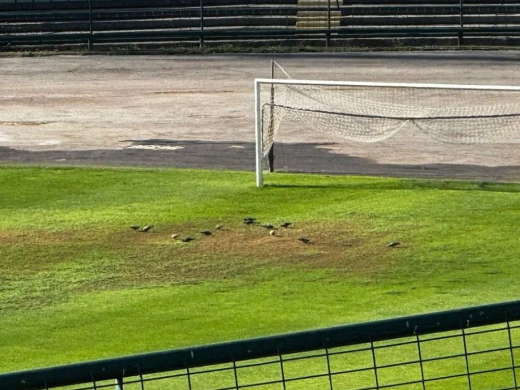 Sarajevo se ipak vraća na Koševo, Savez privremeno ukinuo suspenziju stadiona