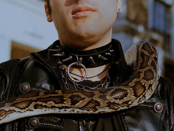 Sarajlija hodao sa zmijom oko vrata po centru Zagreba, kažnjen sa 1800 KM