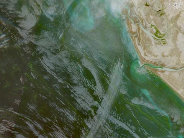 Satelit snimio "roj" brzih iranskih čamaca kod Moreuza