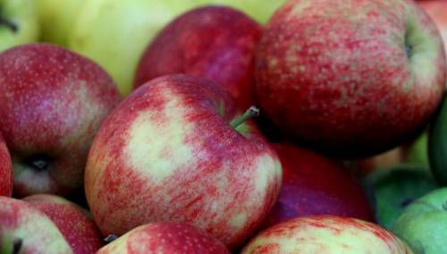 Saudijska Arabija novo izvozno tržište za jabuke iz BiH