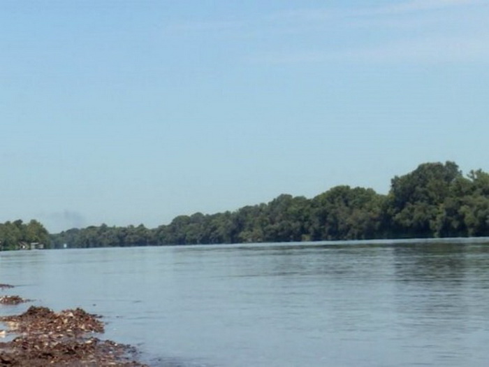 Sava raste kod Bijeljine, ali je ispod kote redovne odbrane od poplava