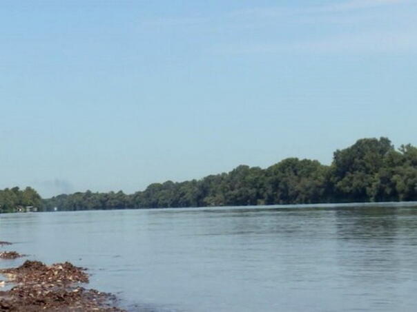 Sava raste kod Bijeljine, ali je ispod kote redovne odbrane od poplava