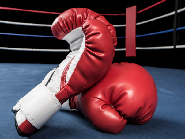 Savez za podršku profesionalnog boksa u BiH domaćin 77. kongresa EBU