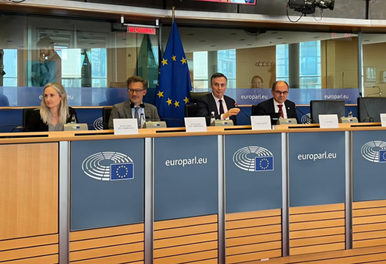 Schmidt informisao Evropski parlament: Kriza u BiH je rješiva