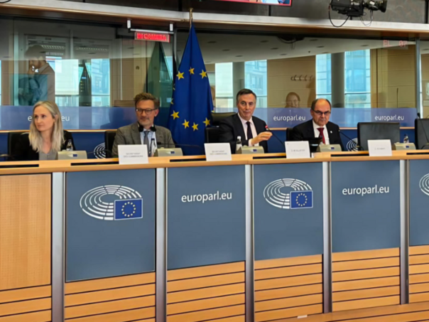 Schmidt informisao Evropski parlament: Kriza u BiH je rješiva