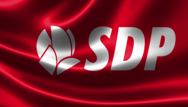 SDP: Zaštititi bh. proizvođače svježih šljiva i krastavaca