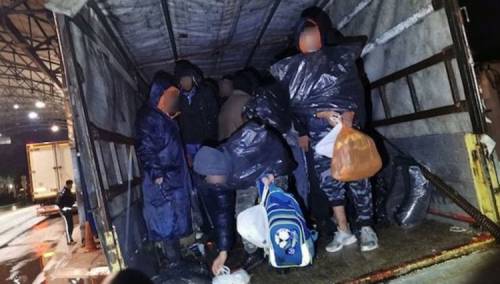 Sedam ilegalnih migranata pronađeno na carinskom terminalu u Halilovićima