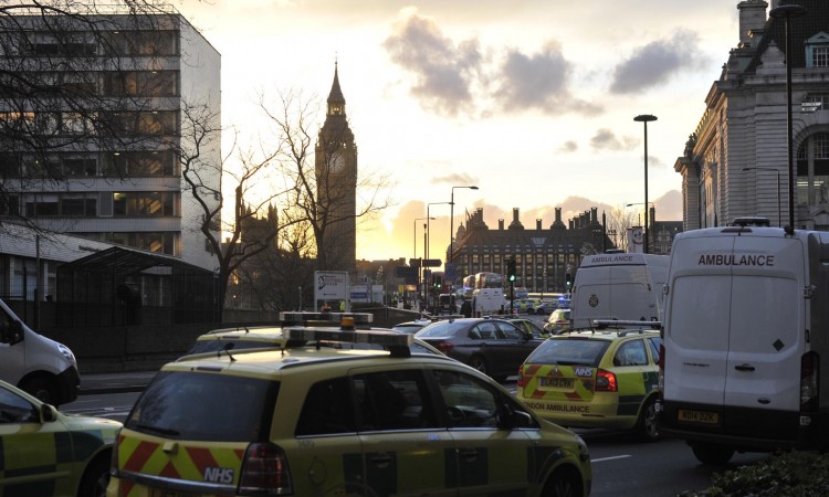 Sedam policajaca povrijeđeno na nezakonitom muzičkom događaju u Londonu