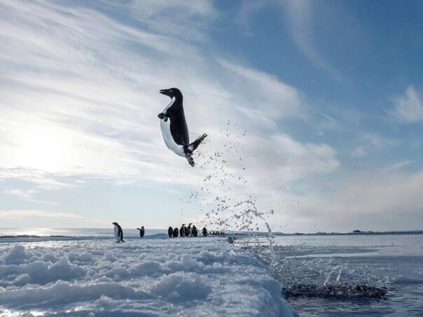 Sedam 'tihih' pobjeda naše planete