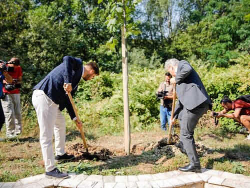 Šef Delegacije EU Sattler i načelnik Čengić zasadili lipu u Aleji ambasadora