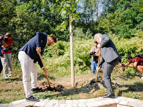 Šef Delegacije EU Sattler i načelnik Čengić zasadili lipu u Aleji ambasadora