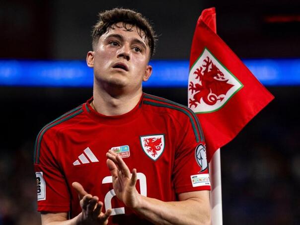 Selektor Velsa objavio spisak igrača za BiH