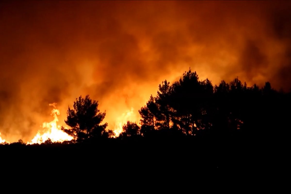 Šest osoba poginulo u požarima u Alžiru