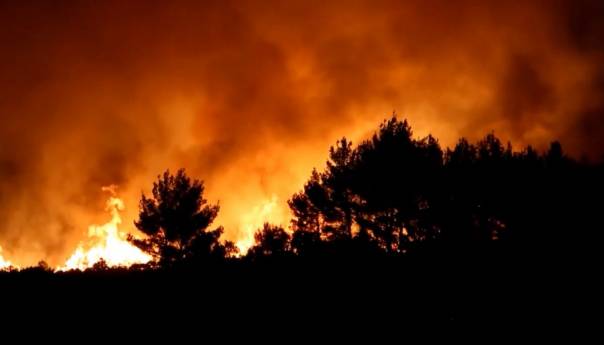 Šest osoba poginulo u požarima u Alžiru