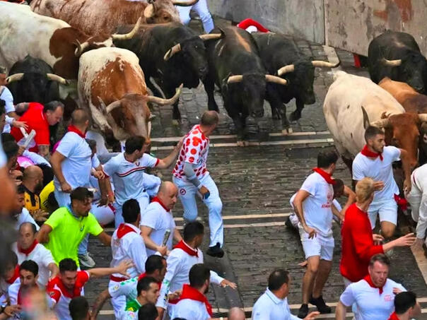 Šest osoba povrijeđeno u trci s bikovima u Pamploni