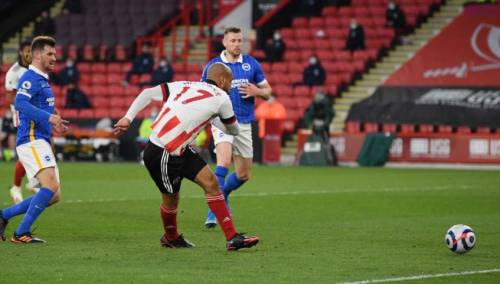 Sheffield slavio protiv Brightona