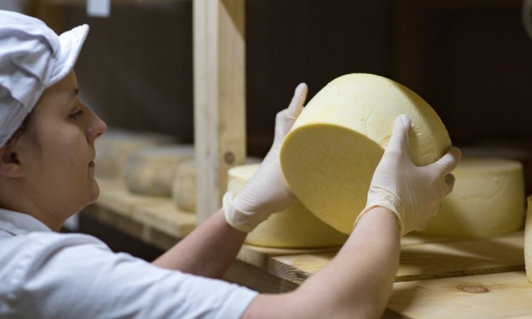 Sirevi iz Fojnice imaju svoje tražište i ono nastavlja rasti