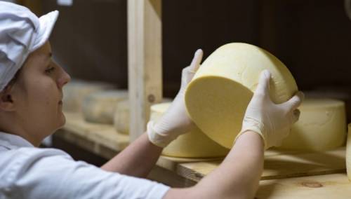 Sirevi iz Fojnice imaju svoje tražište i ono nastavlja rasti