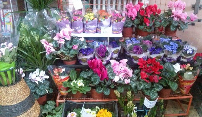 Širom svijeta danas se obilježava Međunarodni dan žena