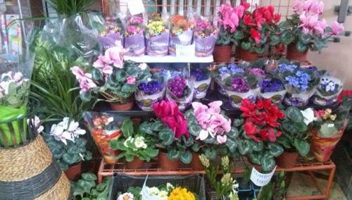 Širom svijeta danas se obilježava Međunarodni dan žena