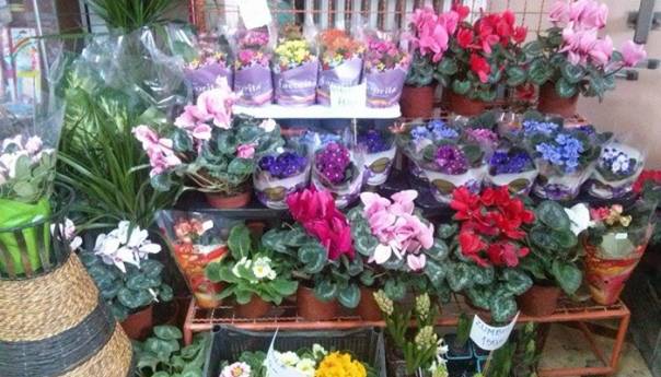 Širom svijeta danas se obilježava Međunarodni dan žena