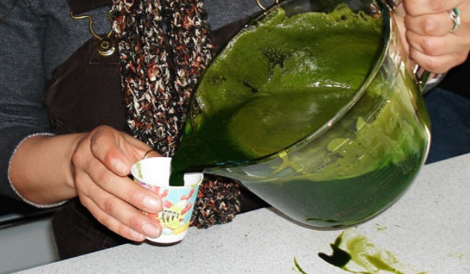 Sirup od koprive: Najbolji lijek za čićenje krvi