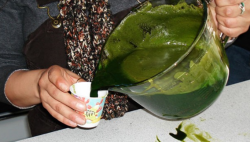 Sirup od koprive: Najbolji lijek za čićenje krvi