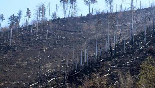 Situacija na požarištima stabilna, vatra gori na lokaciji Derani