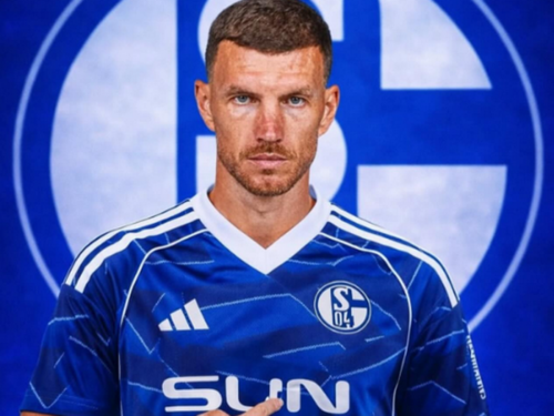 Sjajan video: Schalke potvrdio dolazak Edina Džeke