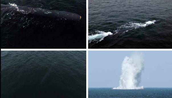 Sjeverna Koreja testirala još jedan dron za podvodni nuklearni napad