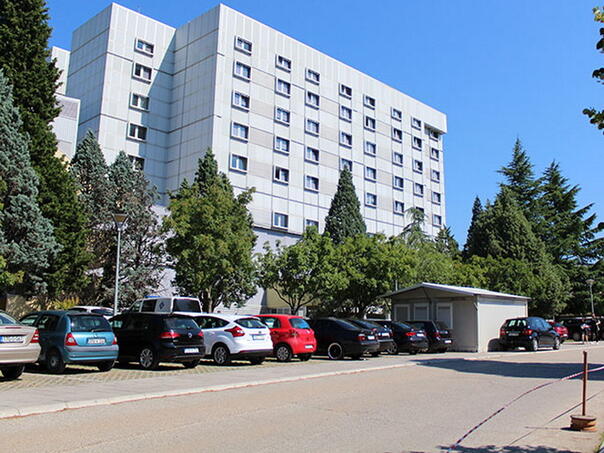 SKB Mostar registrovao tri slučaja hospitalizacija zbog ugriza zmije otrovnice, osiguran serum