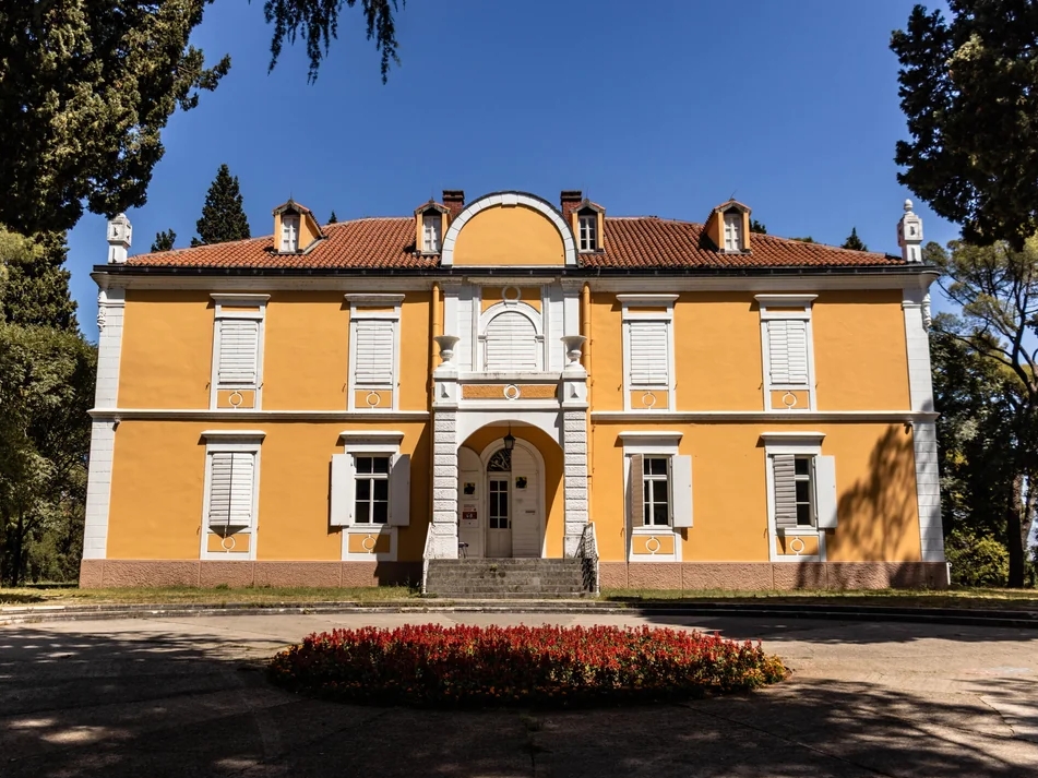 Skupština Crne Gore usvojila zakon o potomcima dinastije Petrović Njegoš