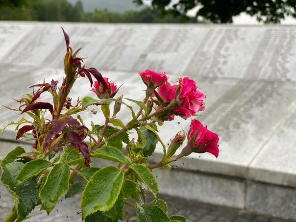 Skupština kanadskog grada Hamiltona odala počast žrtvama genocida u Srebrenici